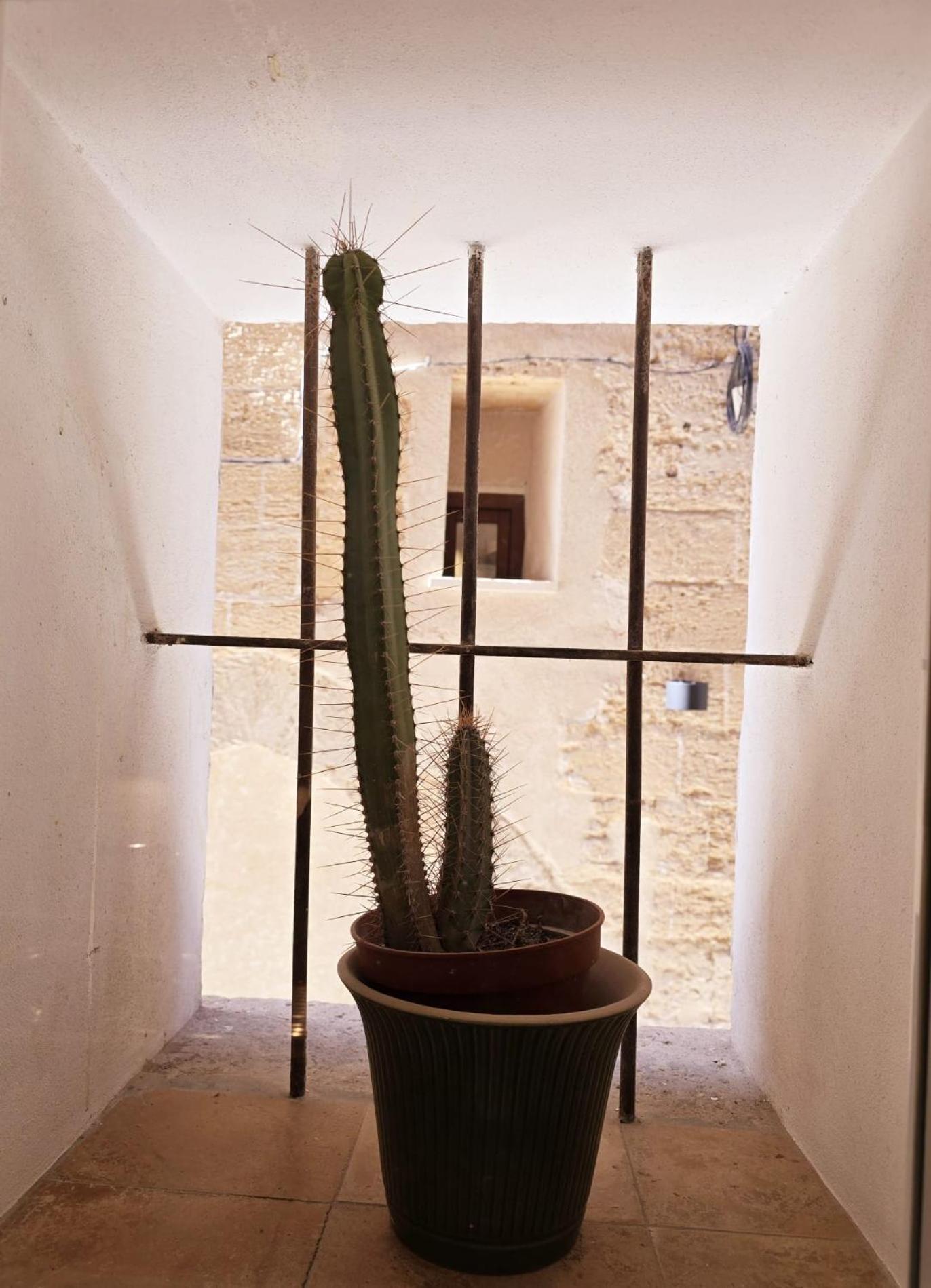 Lejlighed San Jaime Palace - *